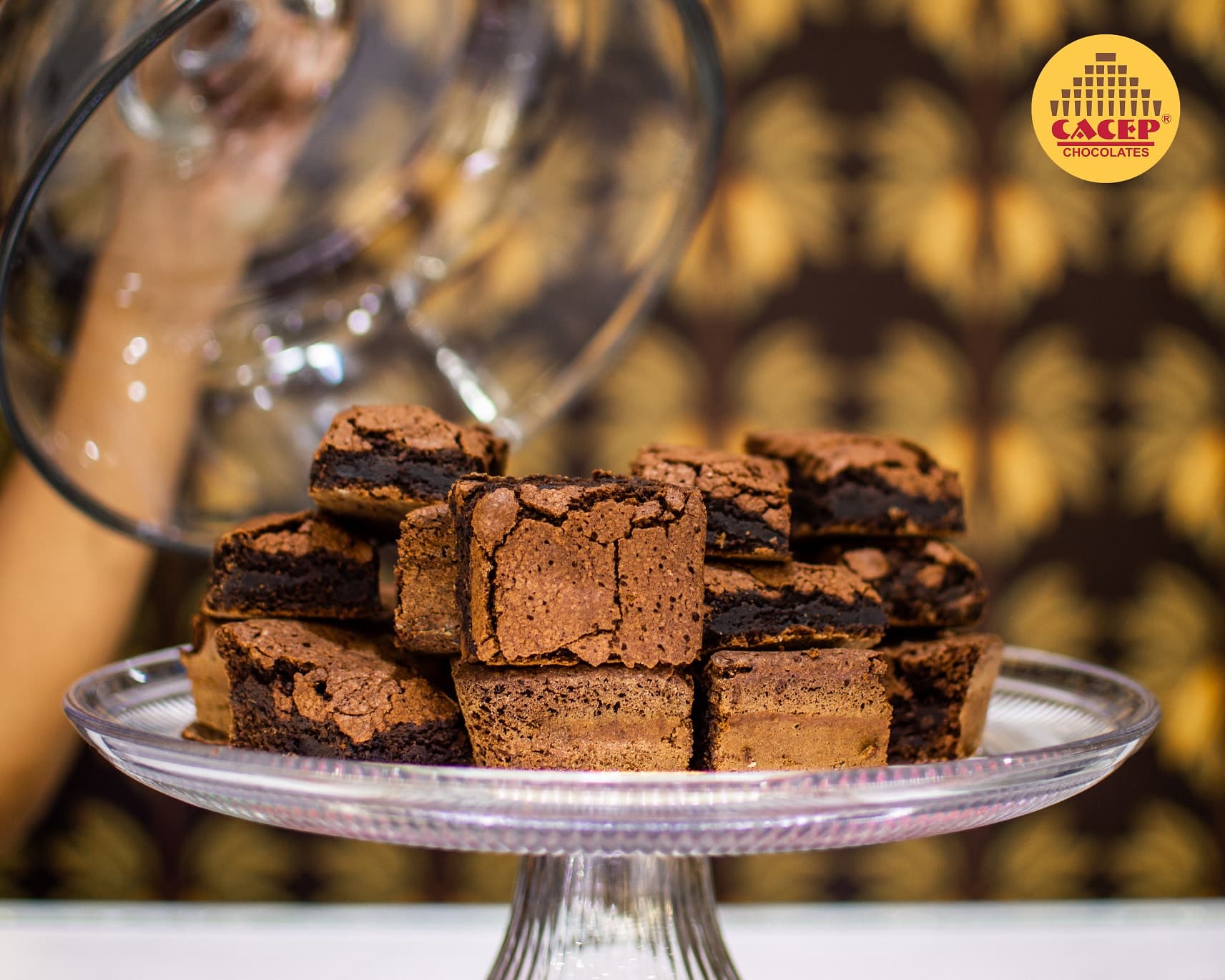 Brownie CACEP