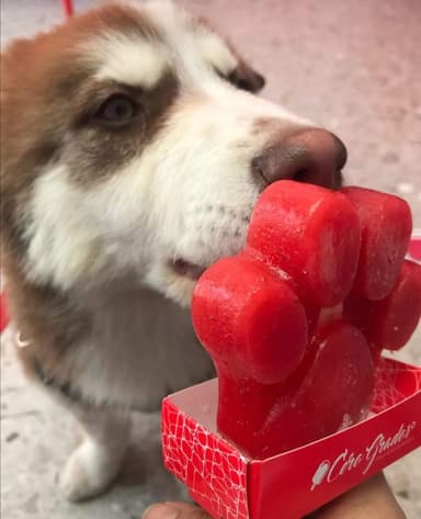 Paleta de PET Friendly