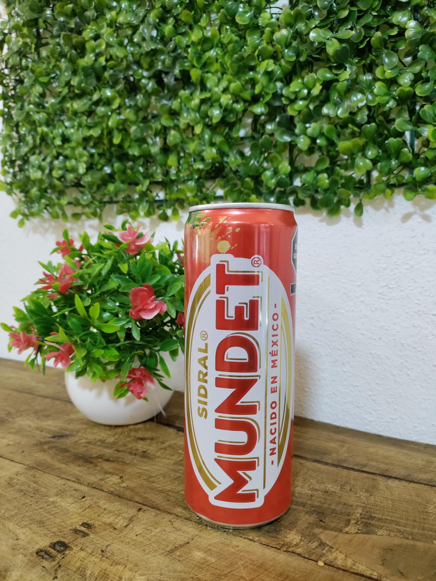 Sidral Mundet 355 Ml