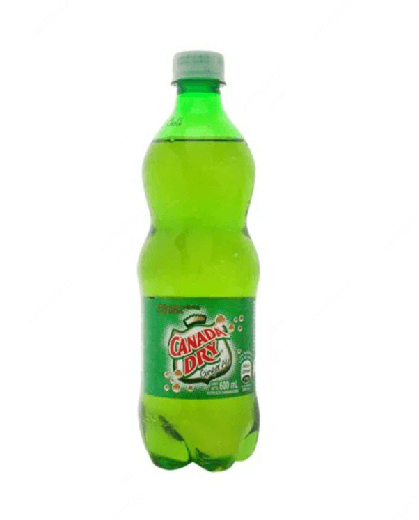 Ginger Ale 600 ml