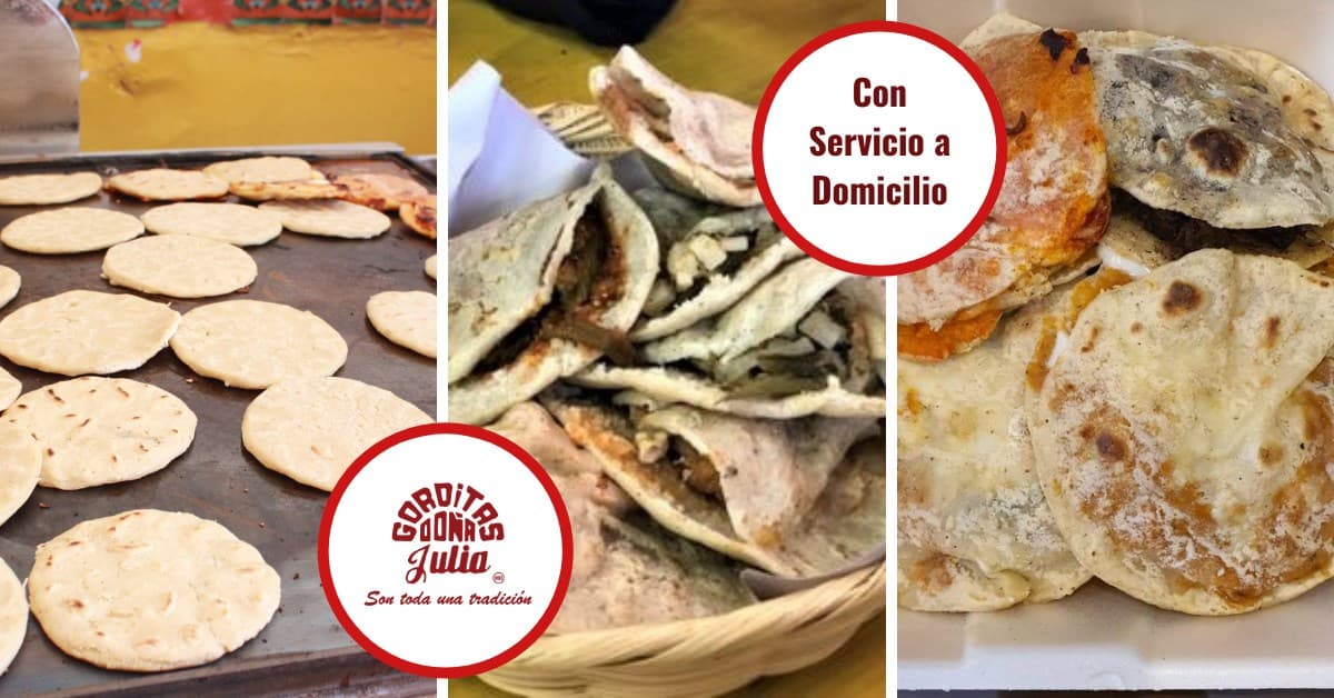Gordita Lengua