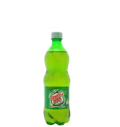Ginge Ale 600 ml