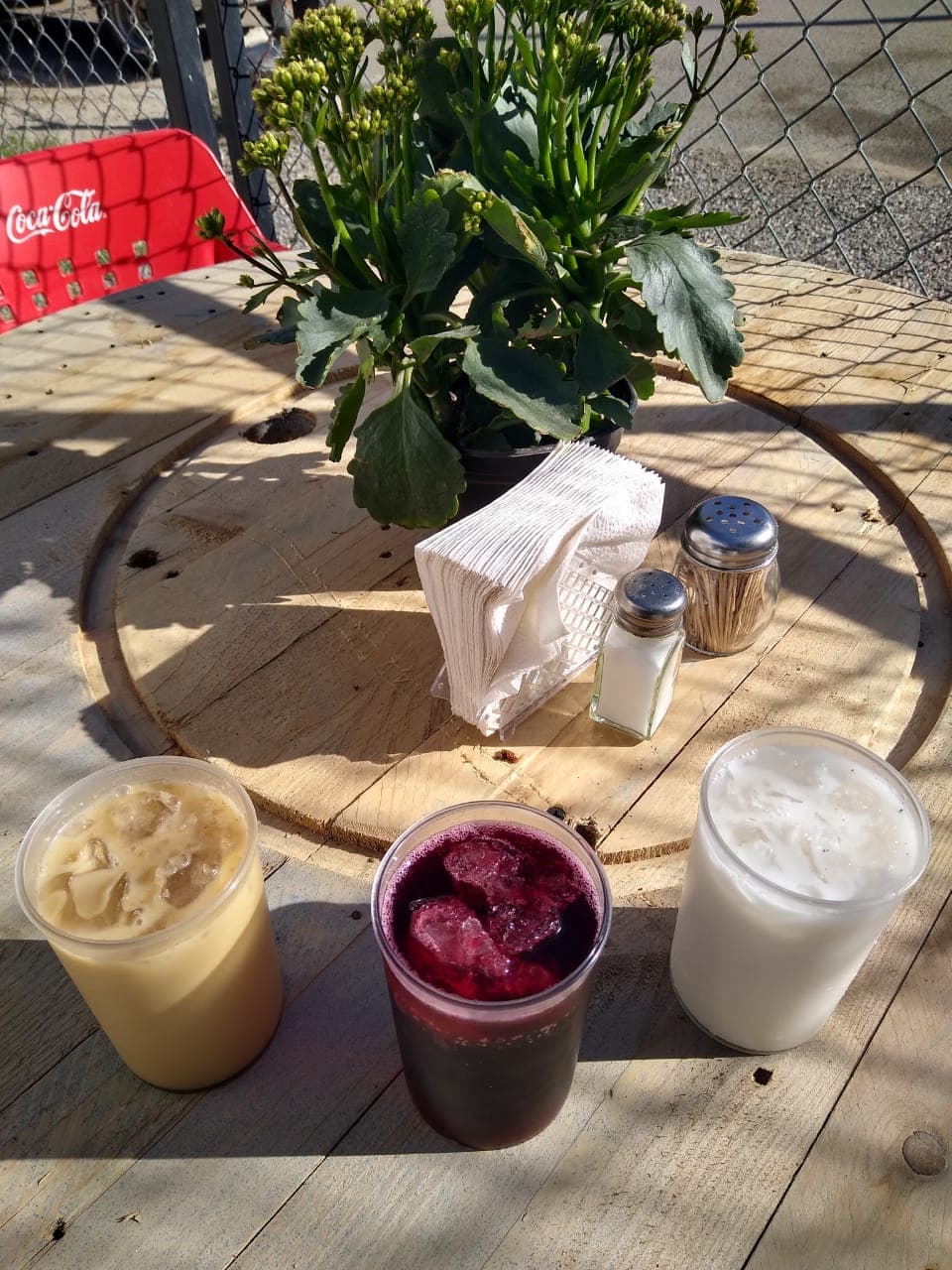 Agua Fresca 1 Lt.