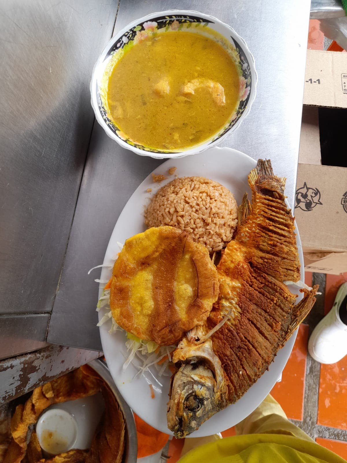 Bocachico