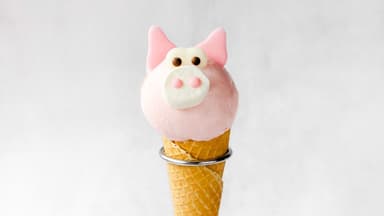 Piggy