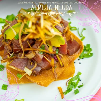 Tostadita Won Ton