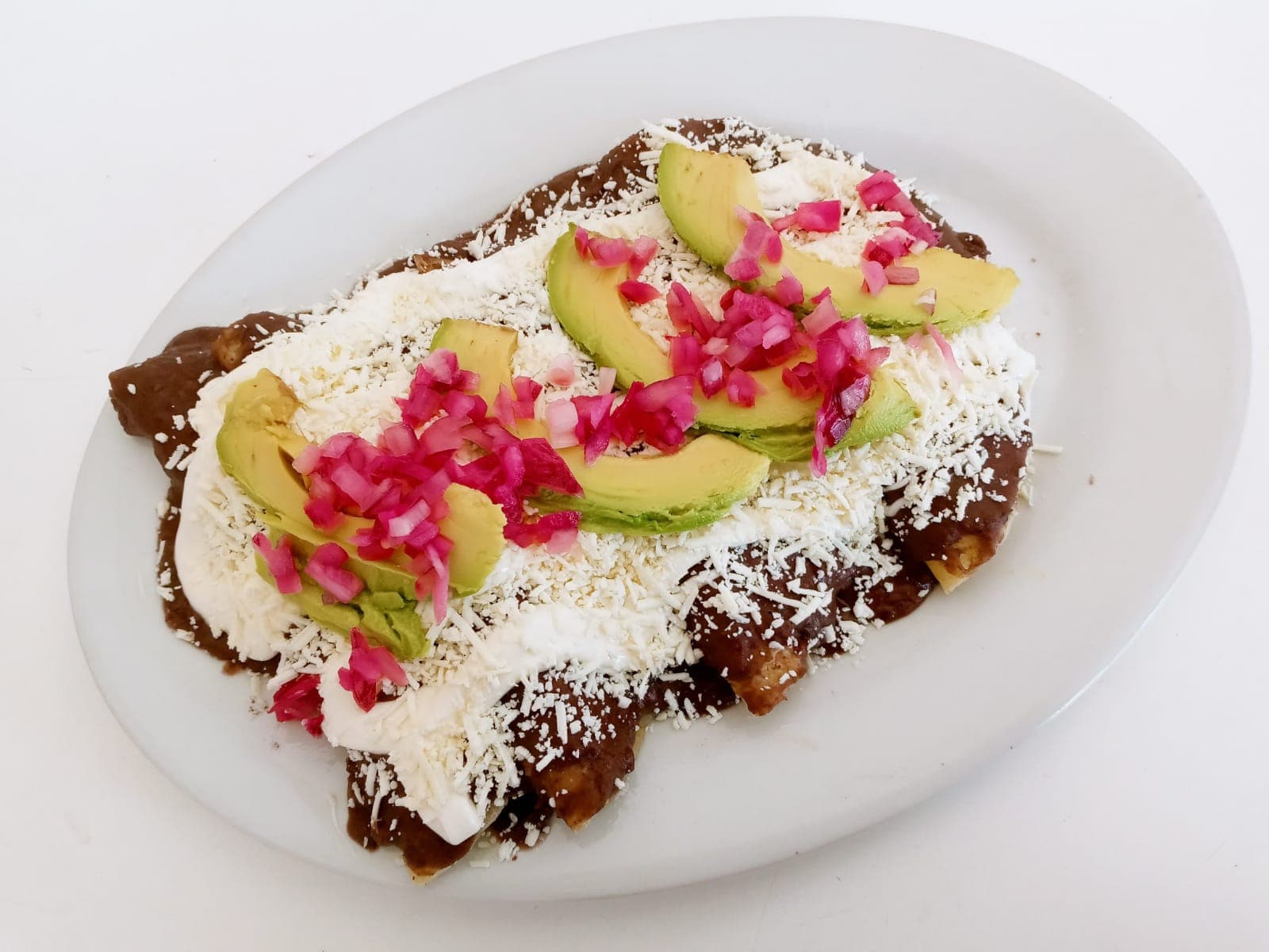 Enfrijoladas de Cochinita