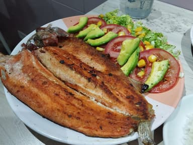 Trucha 300gr