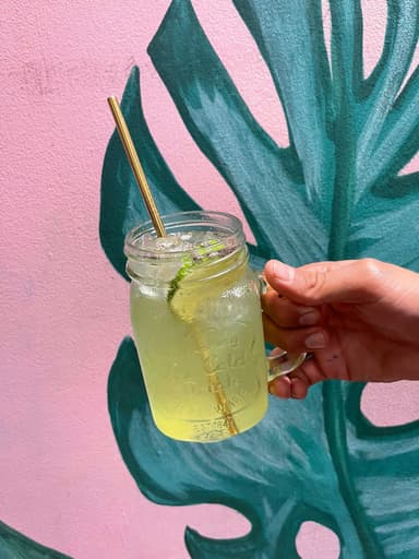 Limonada con Chía
