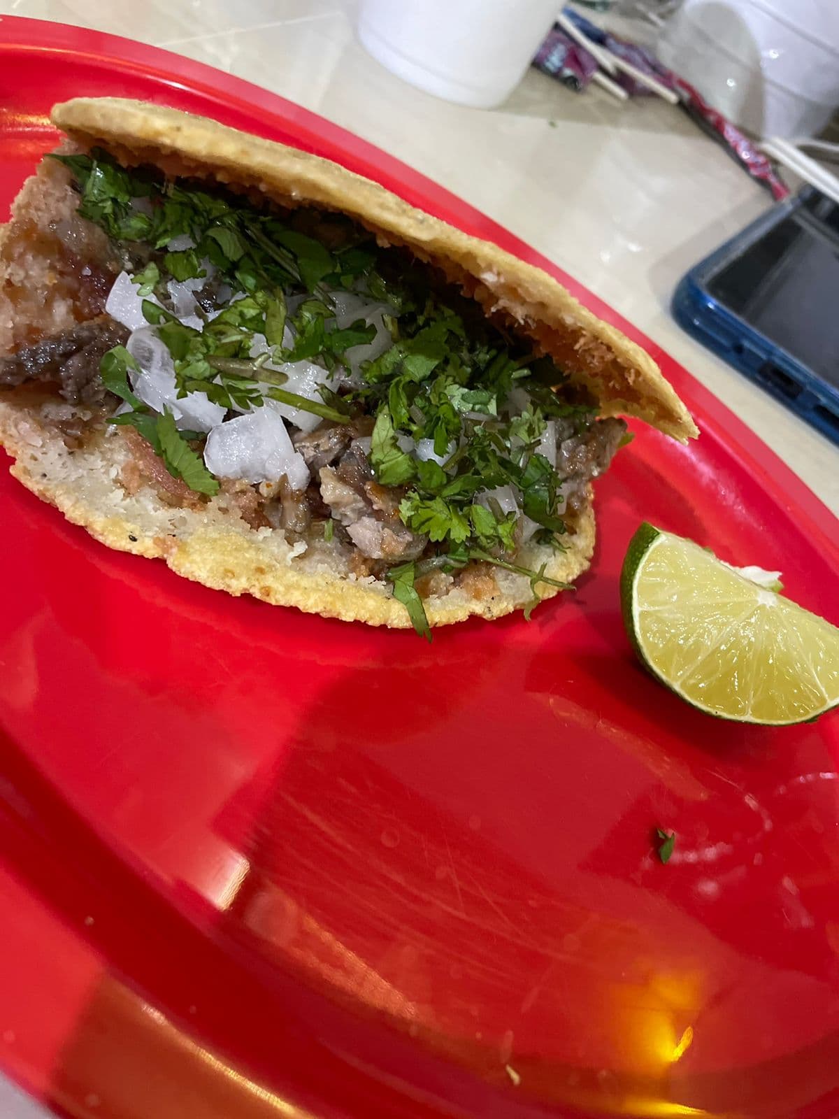 Gordita Suadero