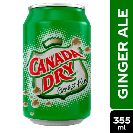 Ginger Ale 355 ml