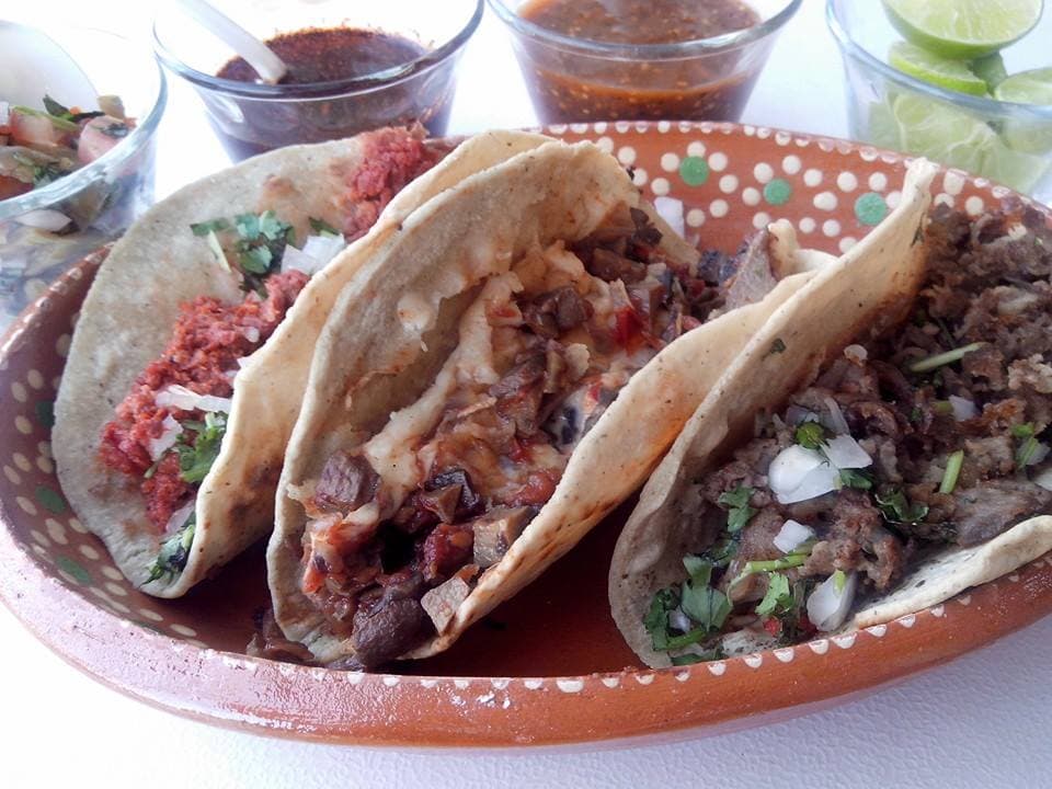 Tacos Nopalitos