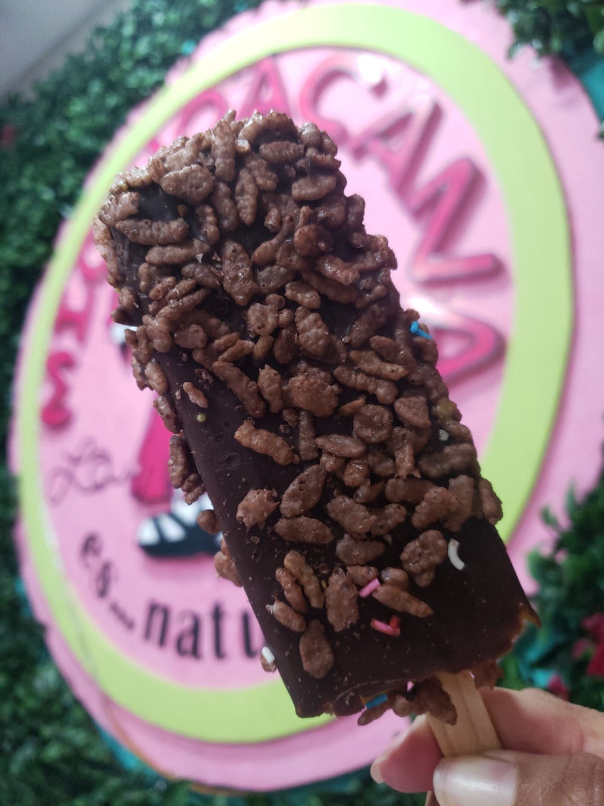 Eskimal de Chococrispis