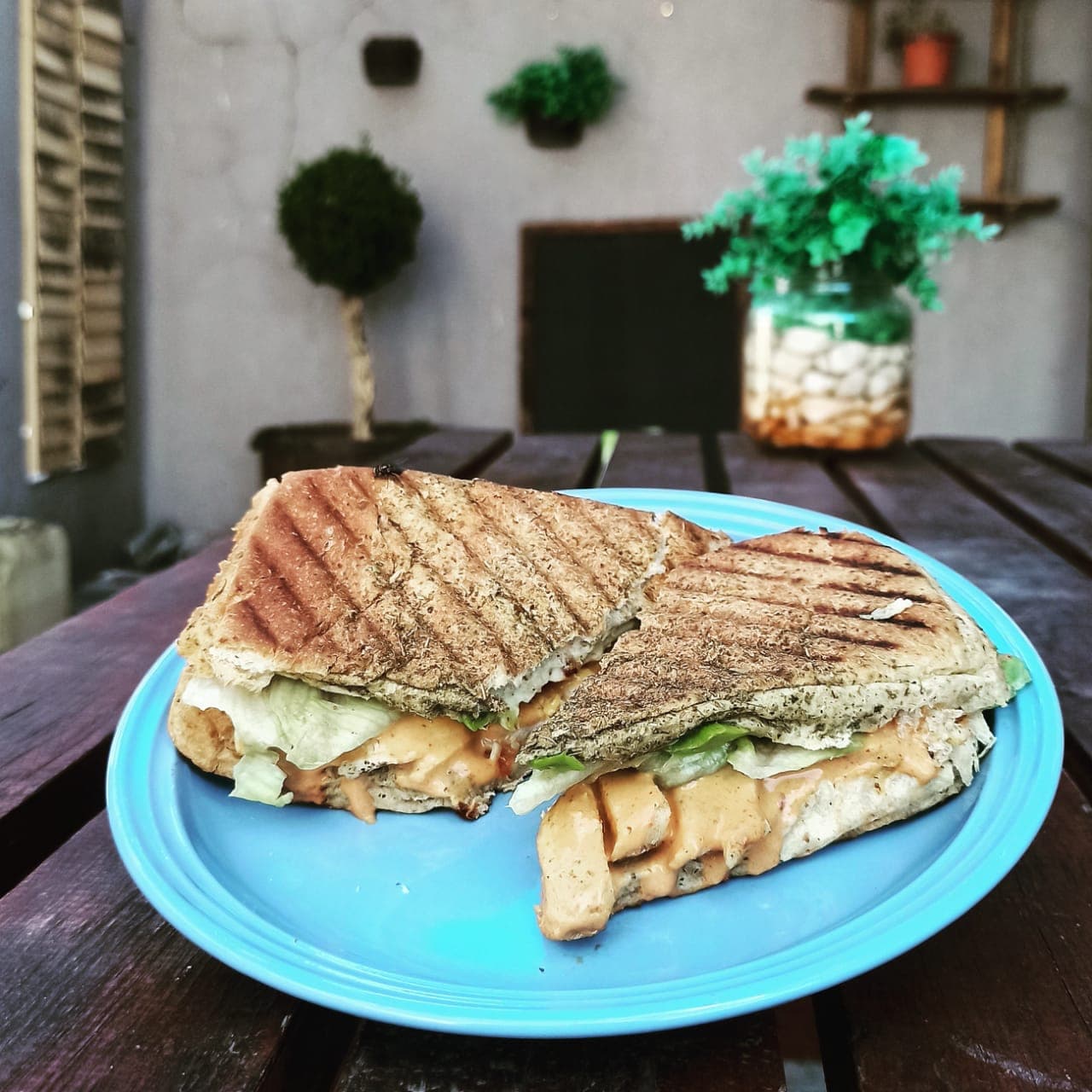 Panini Chipotle
