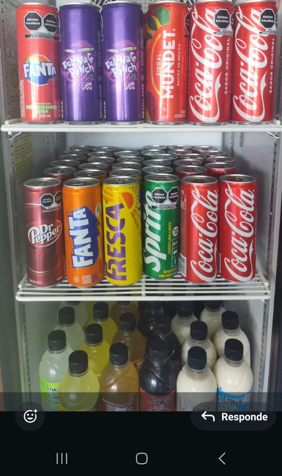 Coca Cola (355 Ml)