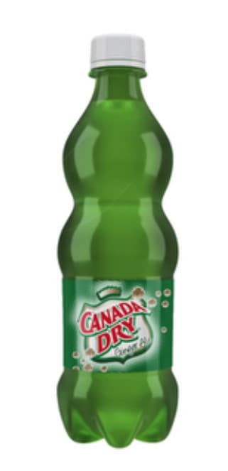 Ginger Ale 600 ml
