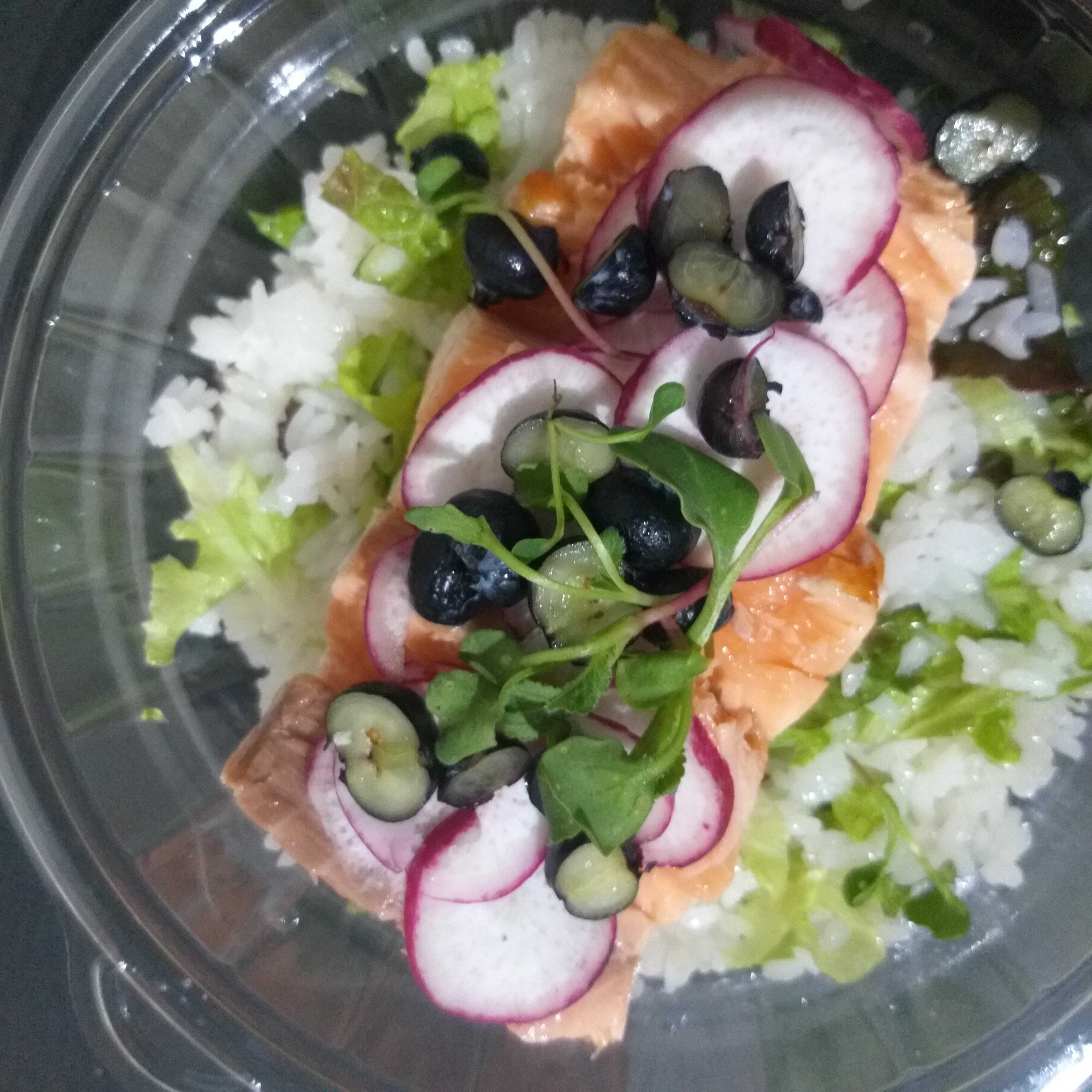 Salmón Ureshii