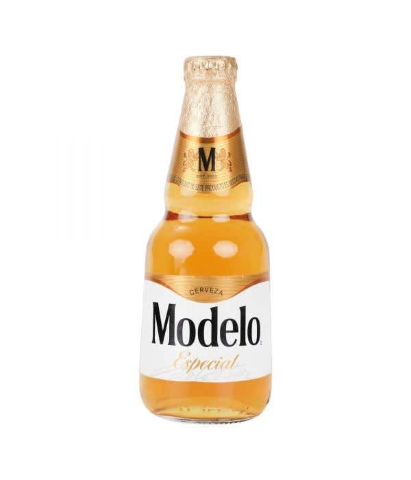 MODELO ESPECIAL