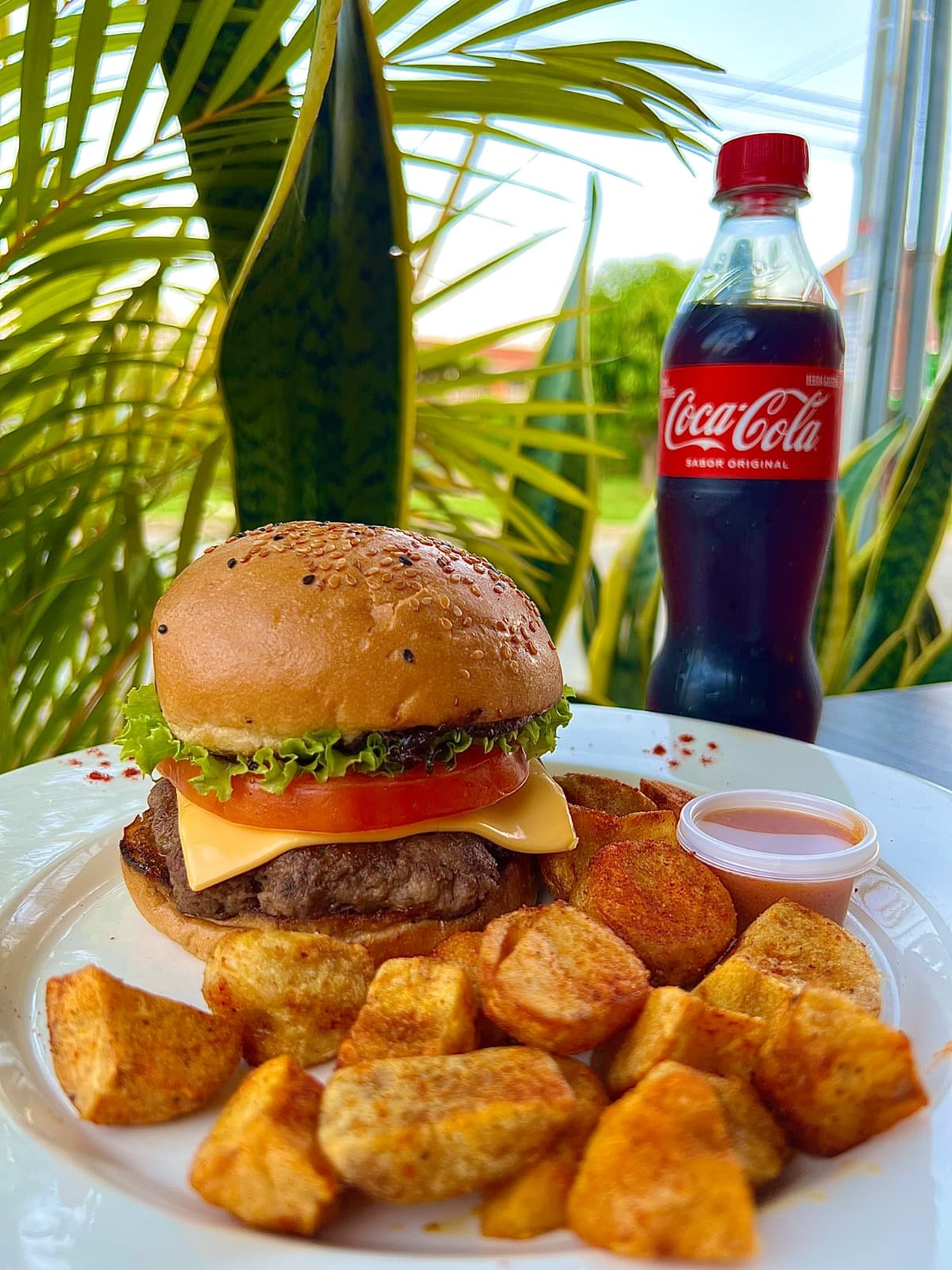 Combo Cheeseburger