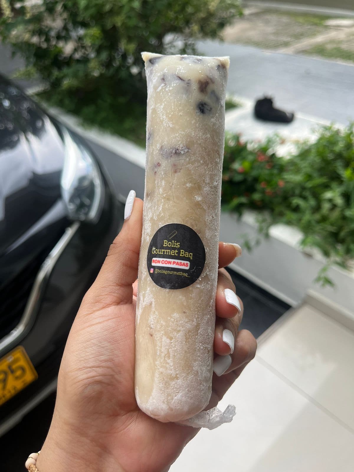 Bolihelado Ron Con Pasas