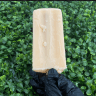 Paleta de Coco