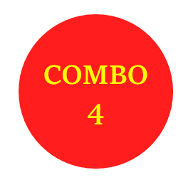Combo 4 套餐
