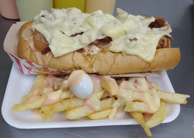 combo #4 perro