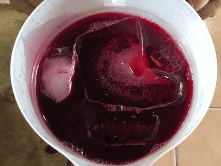 Agua de Jamaica