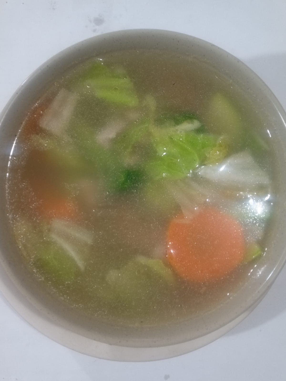 Sopa de Verduras con Pollo