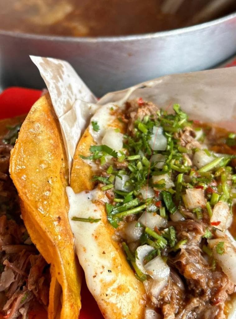 Taco De Birria