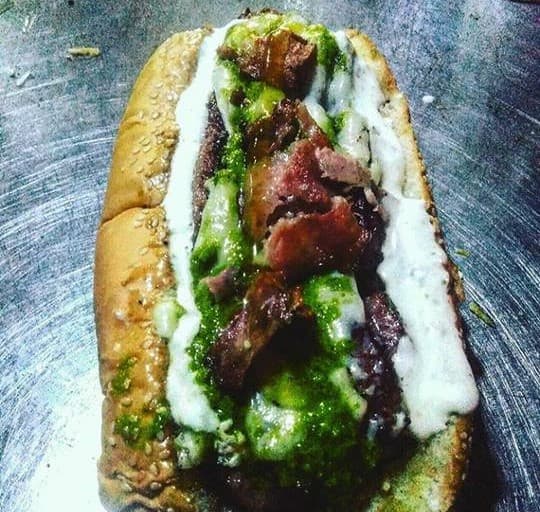 Perro Italo Suizo