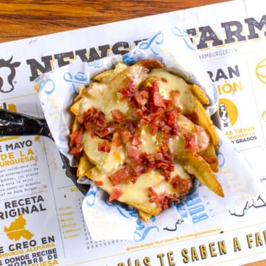 Cheesy Bacon Fries