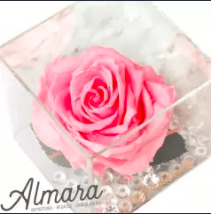 Rosa Perfect Rosada