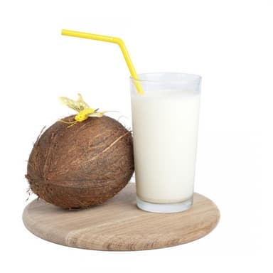 Frappe Coco
