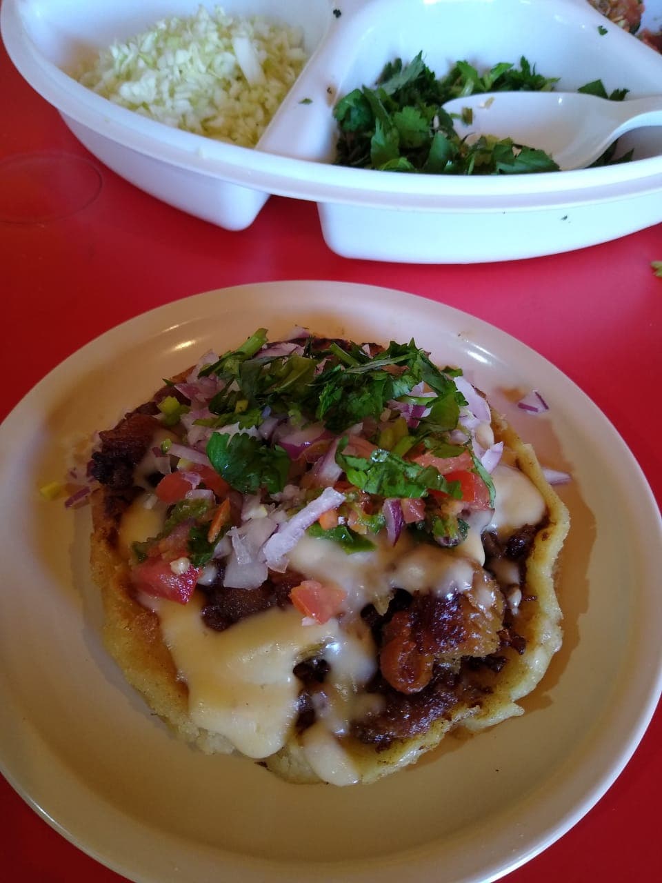 Quesadilla Doble con Carne