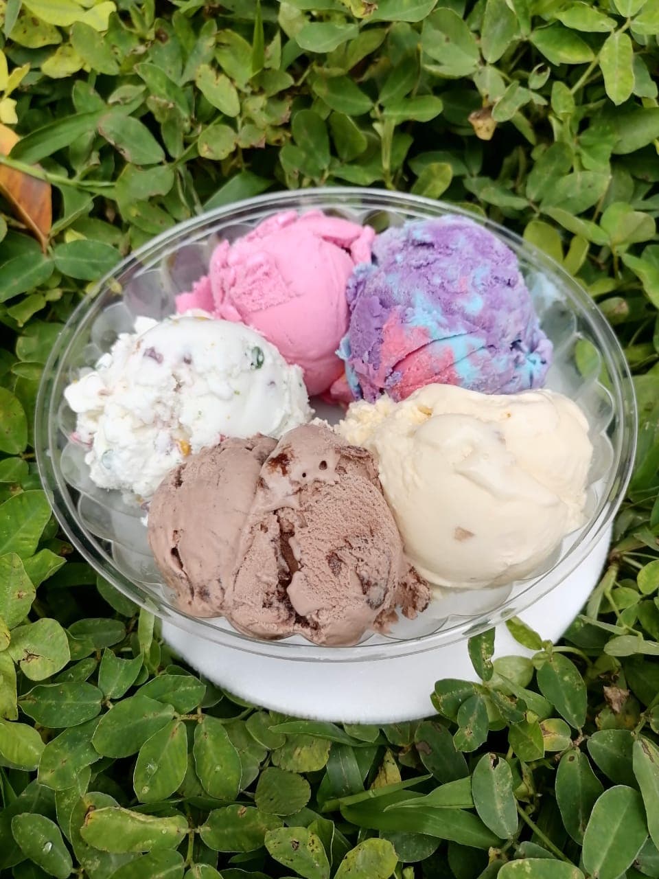 Bowl Helado X 5