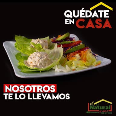 Combo de Ensalada de Pollo u Atün con complemento.