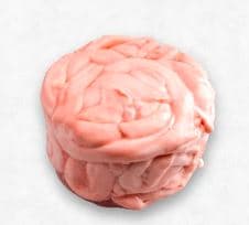Medula