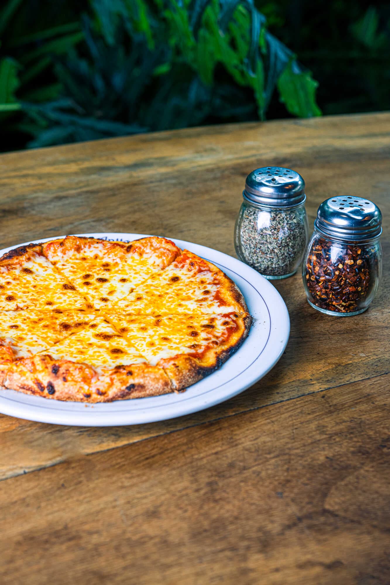 Pizza Napolitana