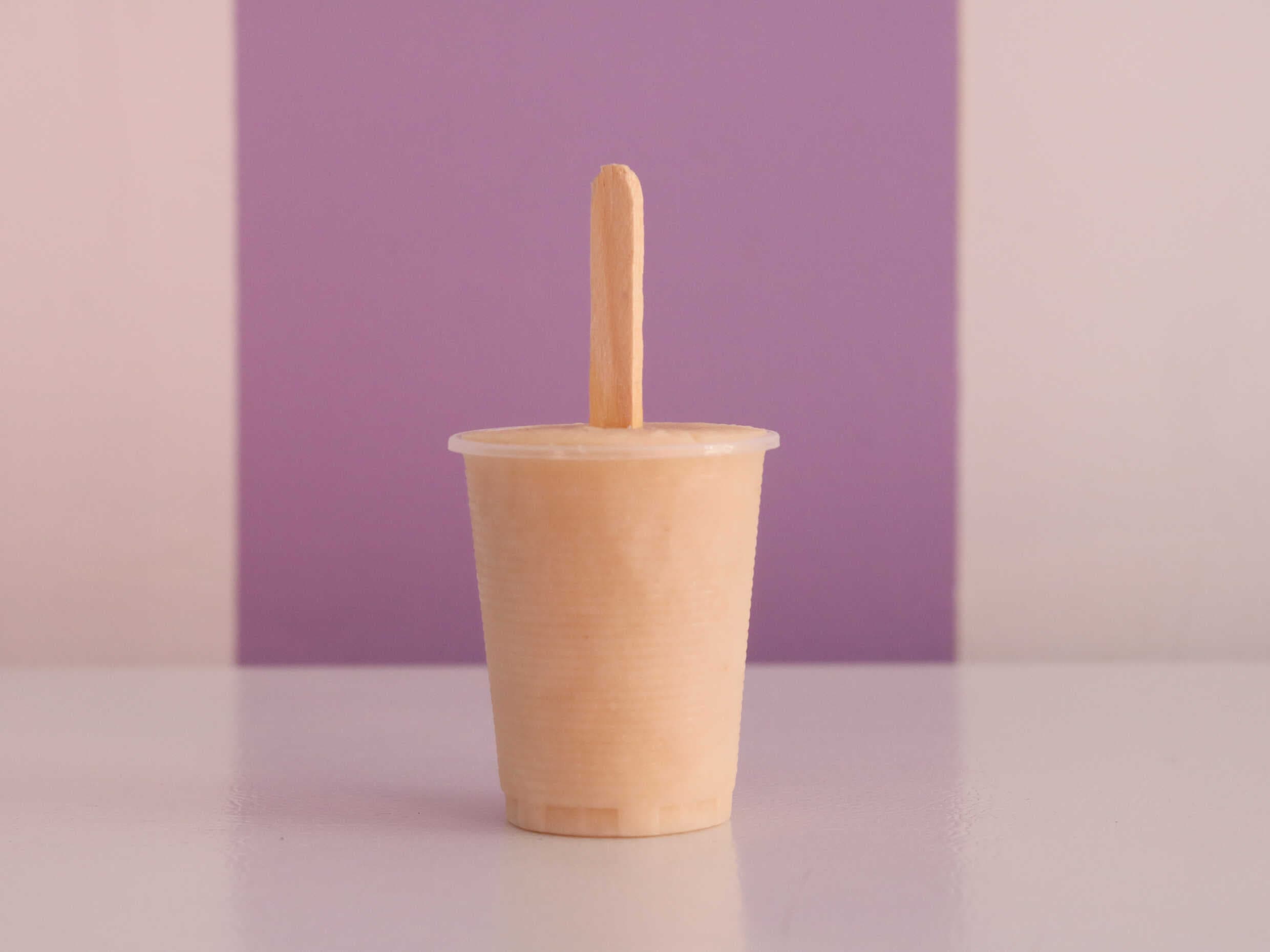 Paleta de Leche de Guanábana
