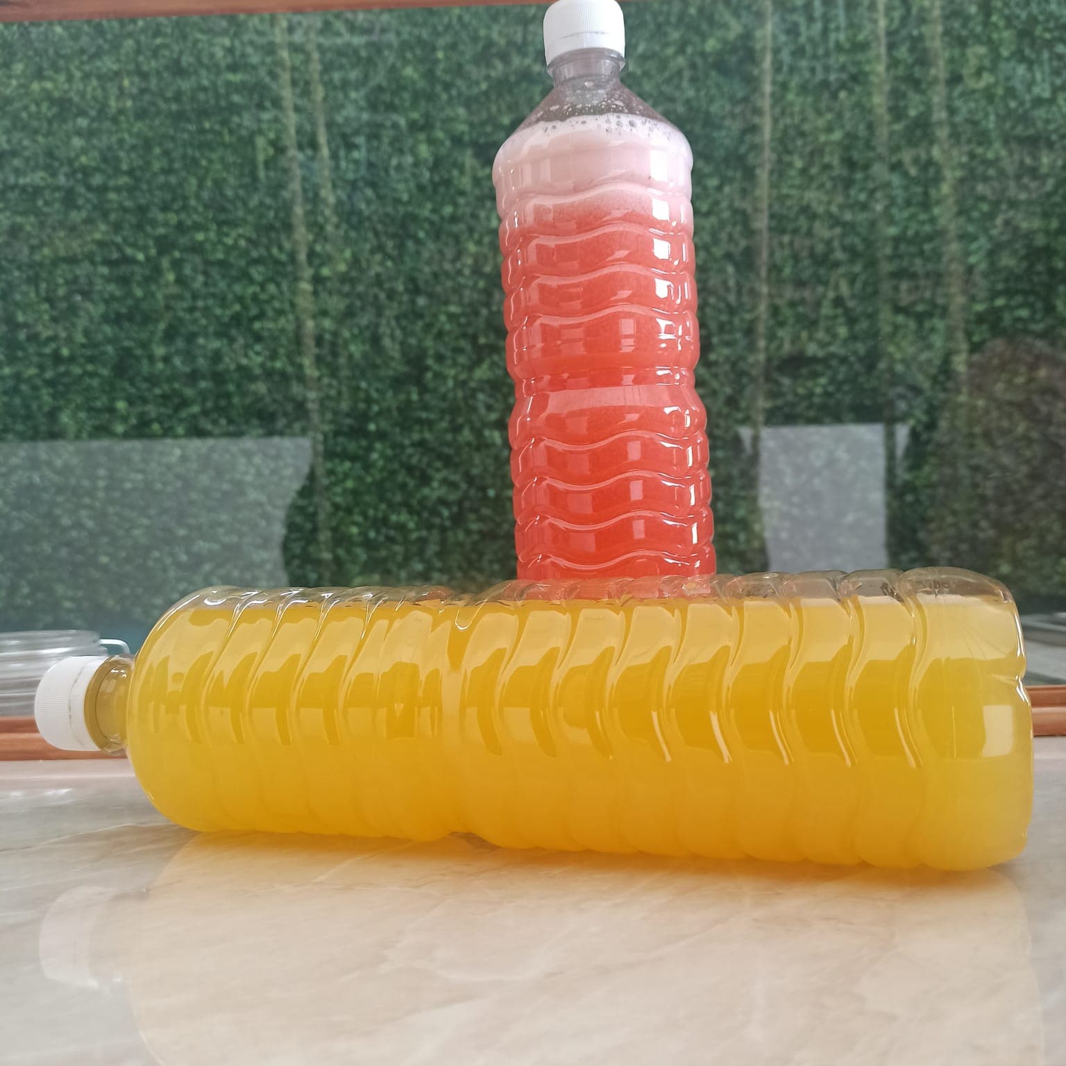 Agua Paradise