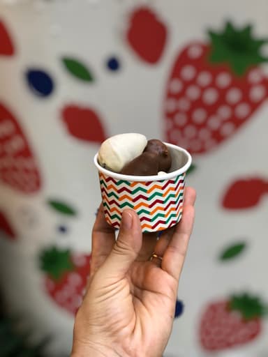 Mini Chocoberry Negro