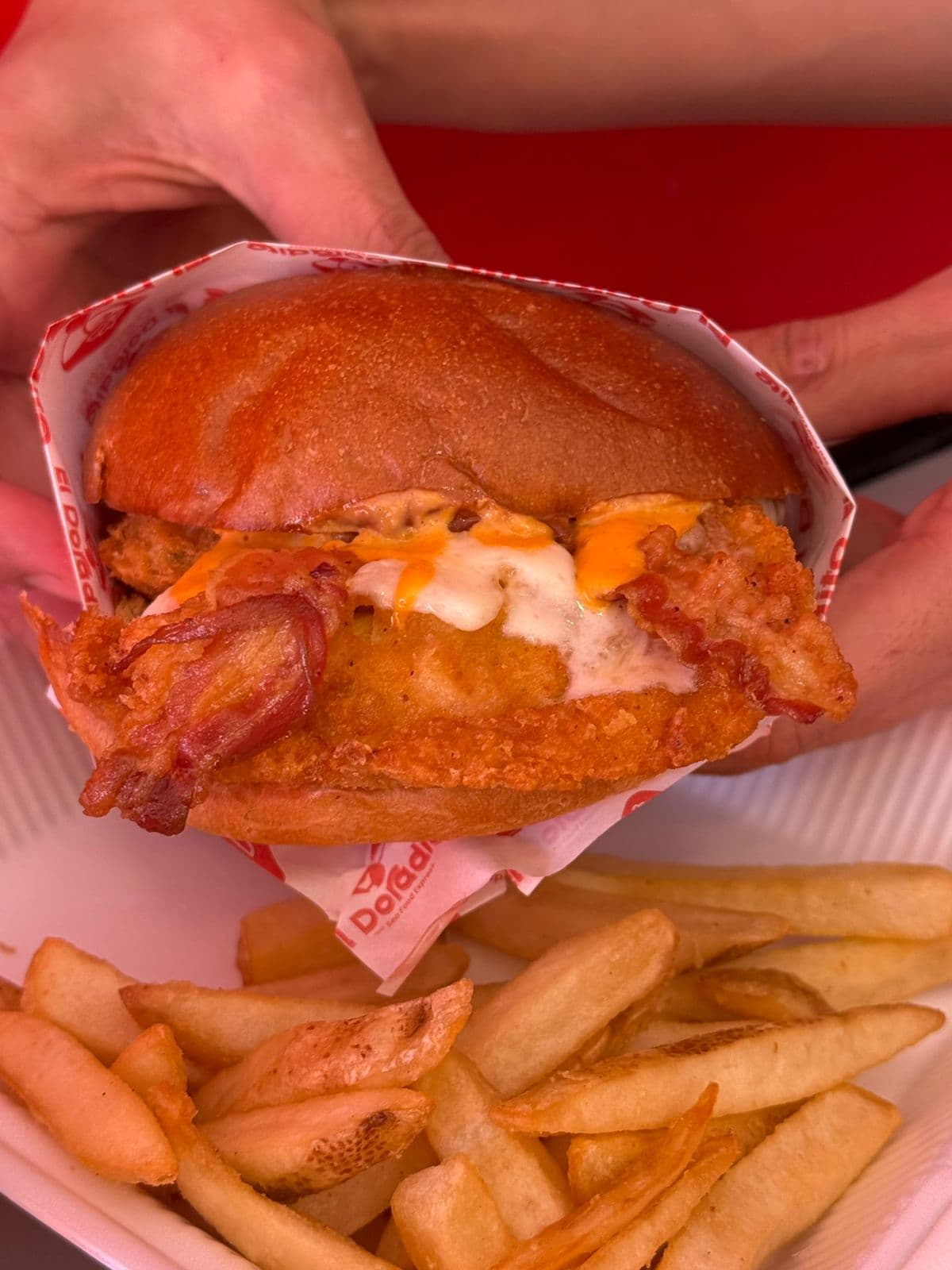 Hamburguesa de Pollo con Papas