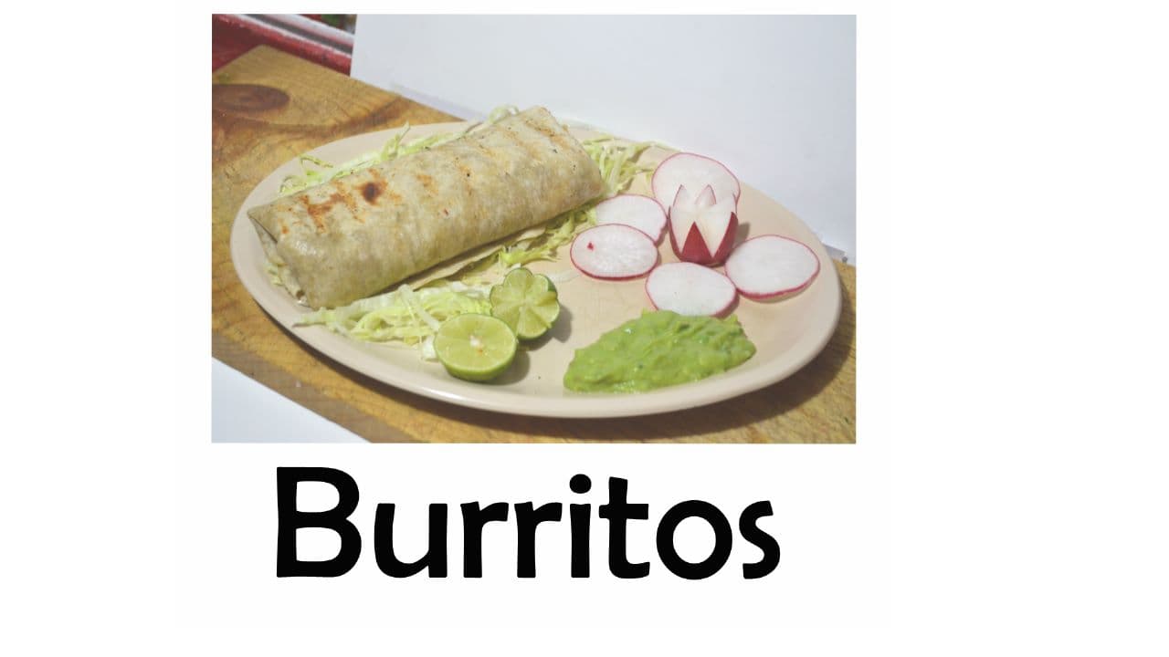 Burrito de Birria