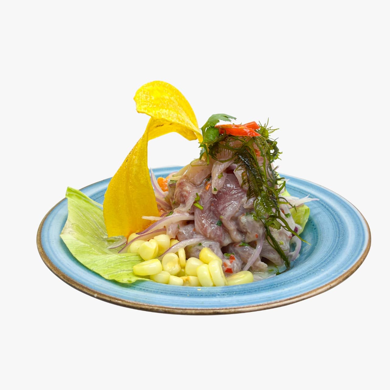 Combo Ceviche + Gaseosa