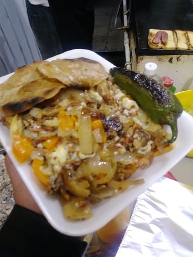 ALAMBRE AL PASTOR