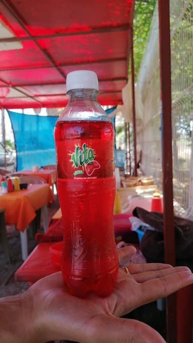 Vita de Fresa