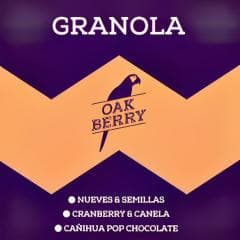 Granola Cranberries y Canela 225 g