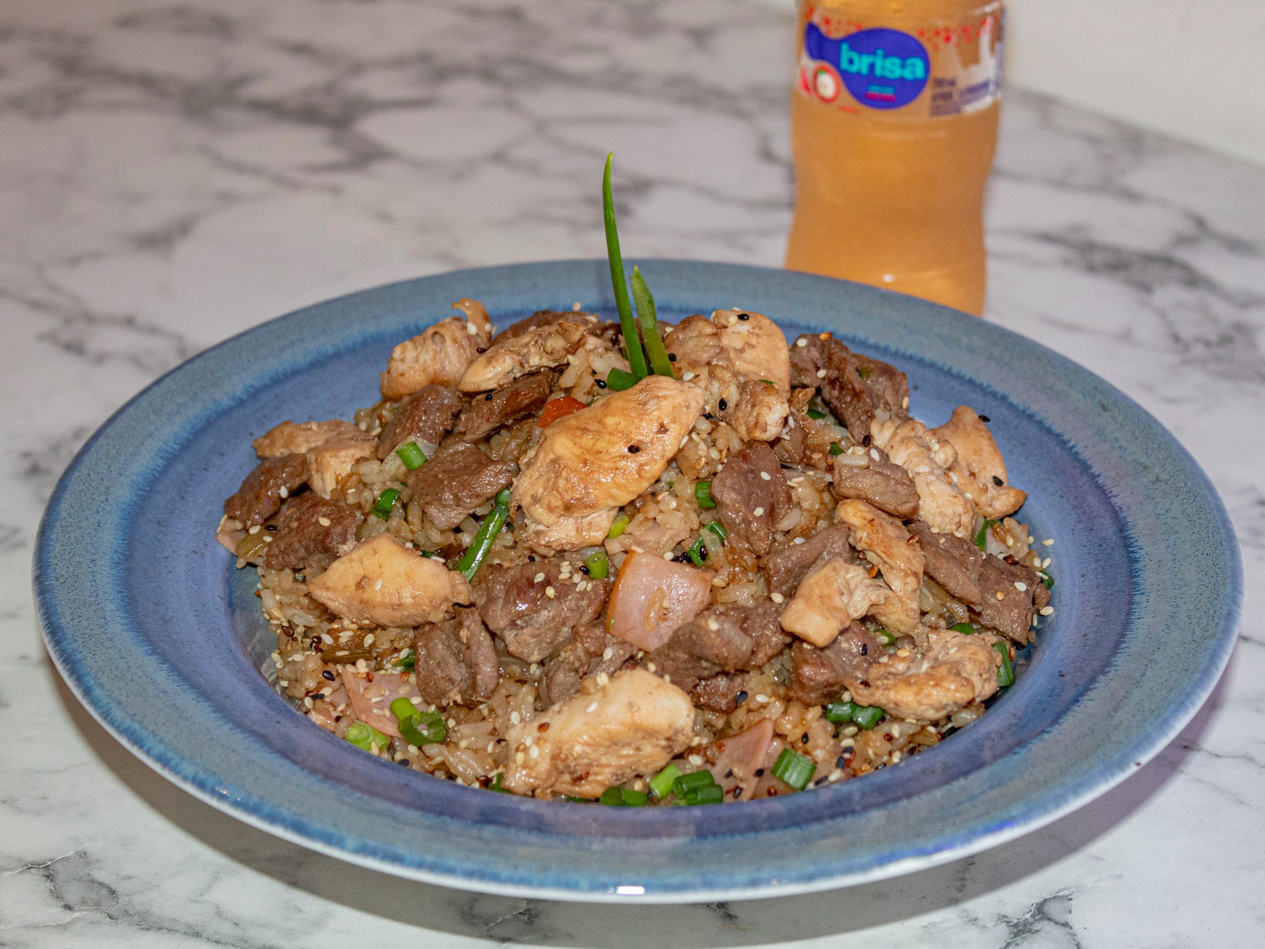 ARROZ MIXTO PREMIUM - POLLO - CARNE - JAMON