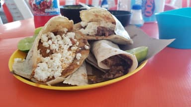 Gordita